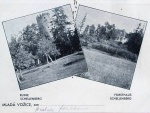 zřícenina hradu Šelmberk 1910